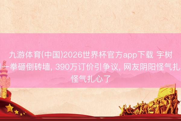 九游体育(中国)2026世界杯官方app下载 宇树机甲一拳砸倒砖墙， 390万订价引争议， 网友阴阳怪气扎心了