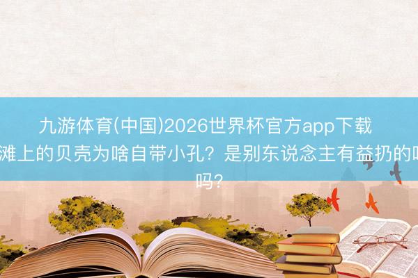 九游体育(中国)2026世界杯官方app下载 海滩上的贝壳为啥自带小孔？是别东说念主有益扔的吗？