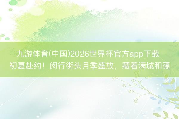 九游体育(中国)2026世界杯官方app下载 初夏赴约！闵行街头月季盛放，藏着满城和蔼