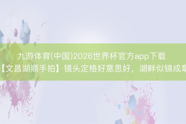 九游体育(中国)2026世界杯官方app下载 【文昌湖顺手拍】镜头定格好意思好，湖畔似锦成章