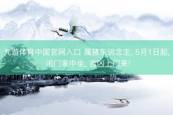 九游体育中国官网入口 属猪东说念主， 5月1日起， 闭门家中坐， 吉凶上门来!