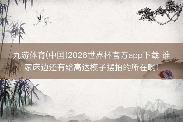九游体育(中国)2026世界杯官方app下载 谁家床边还有给高达模子摆拍的所在啊！