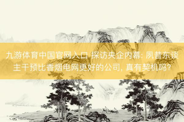 九游体育中国官网入口 探访央企内幕: 夙昔东谈主干预比香烟电网更好的公司, 真有契机吗?