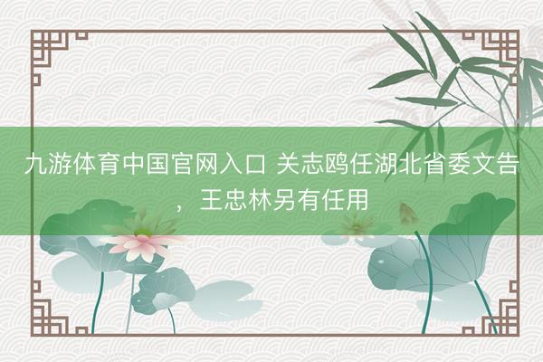 九游体育中国官网入口 关志鸥任湖北省委文告，王忠林另有任用