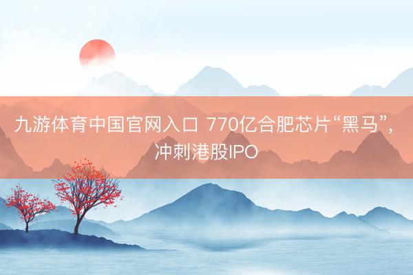 九游体育中国官网入口 770亿合肥芯片“黑马”, 冲刺港股IPO