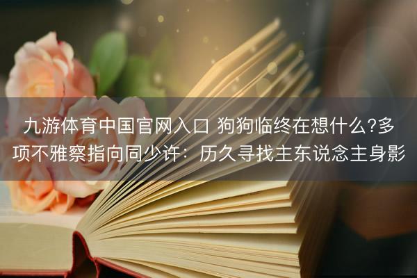 九游体育中国官网入口 狗狗临终在想什么?多项不雅察指向同少许：历久寻找主东说念主身影