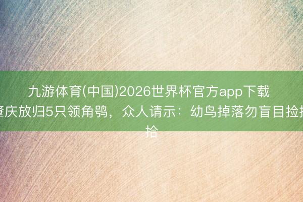 九游体育(中国)2026世界杯官方app下载 肇庆放归5只领角鸮，众人请示：幼鸟掉落勿盲目捡拾