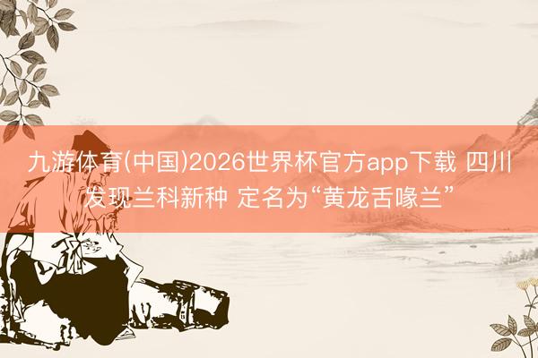 九游体育(中国)2026世界杯官方app下载 四川发现兰科新种 定名为“黄龙舌喙兰”