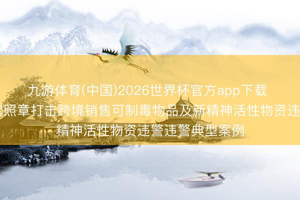 九游体育(中国)2026世界杯官方app下载 公安部公布10起照章打击跨境销售可制毒物品及新精神活性物资违警违警典型案例